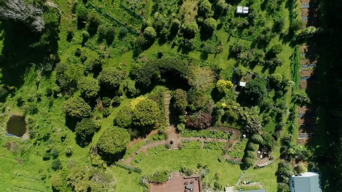 Living the Change (Documentary) 🌏👣 There's No Checklist—It’s About Aligning