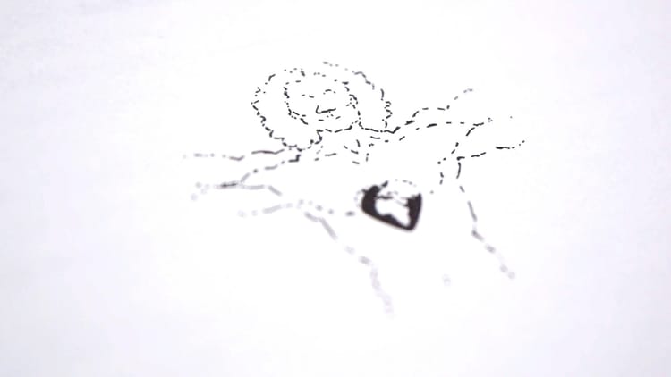 Silhouet of Da Vinci's Vetruvius man, with inside his chest the Earth shaped as a heart