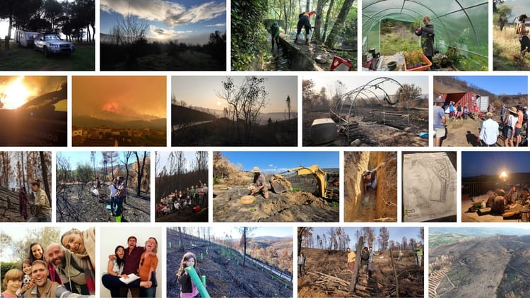 🌄 2025 in Pictures