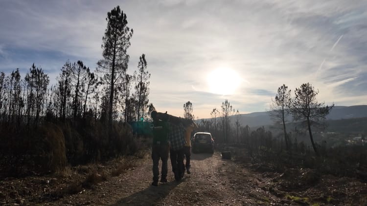 VIDEO UPDATE #5 🌀 How We’re Learning to Revive Natural Water Cycles - Part I