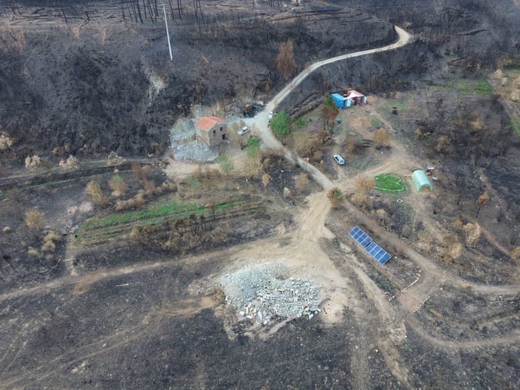 VIDEO UPDATE #3 ☄️🧯How This Couple is Rebounding from the Portugal Fires