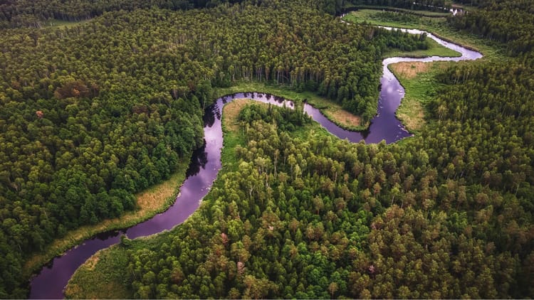 19-25 MAR 2026 — Water Cycle Revival Webinars 👩🏽‍🌾 Learn from Global Stewards Restoring Habitats and Inspiring Change