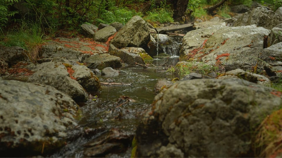 21-23 NOV 2025 đ§ Water Cycle Revival Course