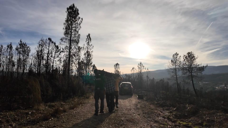 VIDEO UPDATE #5 🌀 How We’re Learning to Revive Natural Water Cycles - Part I