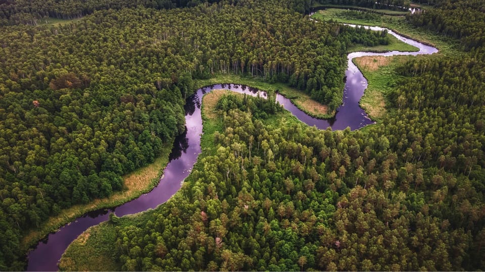 19-25 MAR 2026 — Water Cycle Revival Webinars 👩🏽‍🌾 Learn from Global Stewards Restoring Habitats and Inspiring Change
